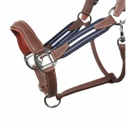 Antarès Sellier - Licol en cuir Stressless grainé havane / marine