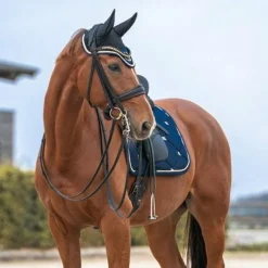 Back On Track - Bonnet pour cheval Night noir/ bleu noble