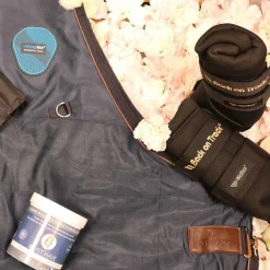 Back On Track - Guêtres d'écurie royales noir x2