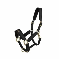 Back On Track - Licol Werano noir