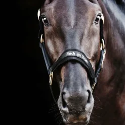 Back On Track - Licol Werano noir