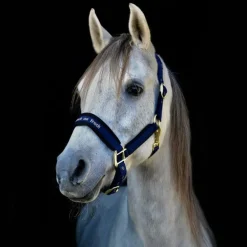 Back On Track - Licol Werano bleu