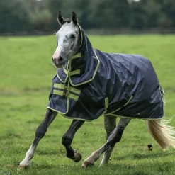 Bucas - Couverture d'extérieur Oasis Turnout 100 gris/ lime 100g