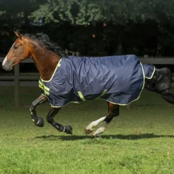 Bucas - Couverture d'extérieur Oasis Turnout 100 gris/ lime 100g