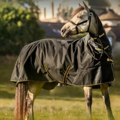 Bucas - Couverture d'extérieur Irish Turnout 300 noir/ gold 300g