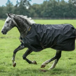 Bucas - Couverture d'extérieur Irish Turnout 300 noir/ gold 300g