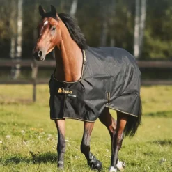 Bucas - Couverture d'extérieur Irish Turnout 300 noir/ gold 300g