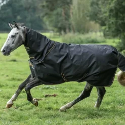 Bucas - Couverture d'extérieur Irish Turnout 0 noir/ gold 0g