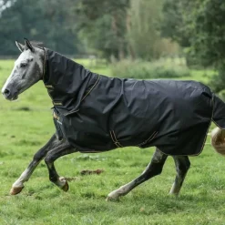 Bucas - Couverture d'extérieur Irish Turnout 100 noir/ gold 100g