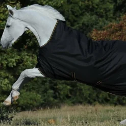 Bucas - Couverture d'extérieur Irish Turnout 50 High Neck noir/ gold 50g