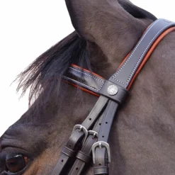 Canter - Bridon Alme têtière anatomique marron