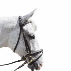 Canter - Bridon Euro pull back avec rênes marron