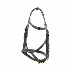 Canter - Bridon licol cheval large noir