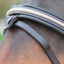 Canter - Bridon muserolle croisée Mylord noir/ light gold