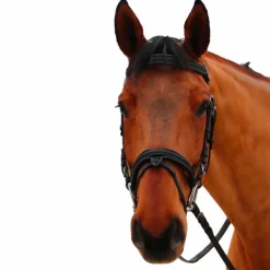 Canter - Bridon muserolle croisée Mylord noir/ noir