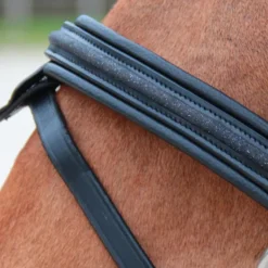 Canter - Bridon muserolle croisée Mylord noir/ noir