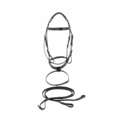 Canter - Bridon Plat doublé avec rênes noir