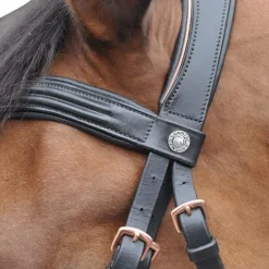 Canter - Bridon rose gold avec rênes noir