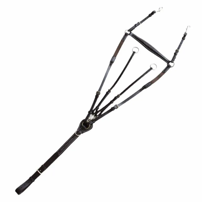 Canter - Collier de chasse surpiqué noir