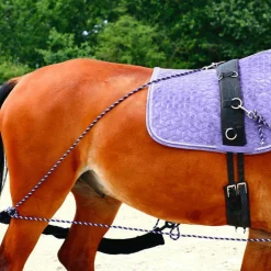 Canter - Enrênement à poulies pour longe corde marine