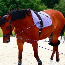 Canter - Enrênement à poulies pour longe corde marine