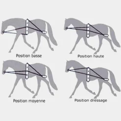 Canter - Enrênement à poulies pour longe corde marine