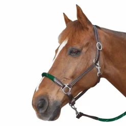 Canter - Licol cheval corde marron/vert boucles blanche