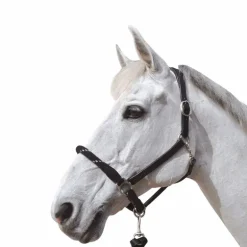 Canter - Licol en corde bouclerie argent noir/ argent