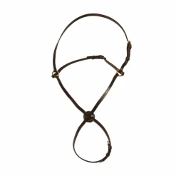 Chetak - Muserolle croisée Marron