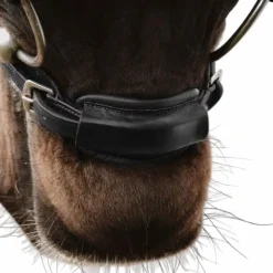 Dyon - Attache de muserolle 1/2 New English Collection noir