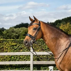 Dyon - Bride muserolle large matt Rond Leather Collection noir