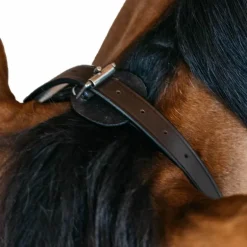 Dyon - Bridon de travail Working by Dyon cuir havane