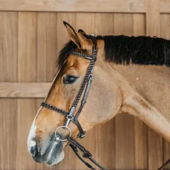 Dyon - Bridon d'entraînement Tressé Working By Dy'on havane