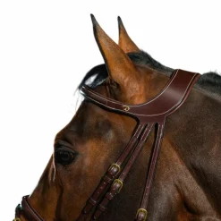 Dyon - Bridon Différence D Collection havane