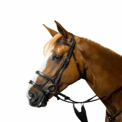 Dyon - Bridon double muserolle D Collection noir