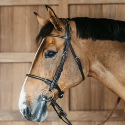 Dyon - Bridon en cuir rond Working By Dy'on têtière anatomique havane