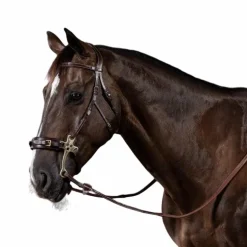 Dyon - Bridon hackamore US Collection havane