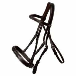 Dyon - Bridon Hunter marron