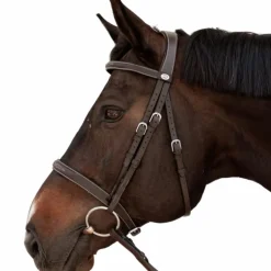 Dyon - Bridon Hunter marron