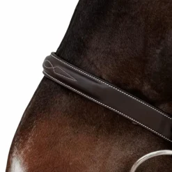 Dyon - Bridon Hunter marron