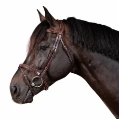 Dyon - Bridon muserolle combinée US Collection havane