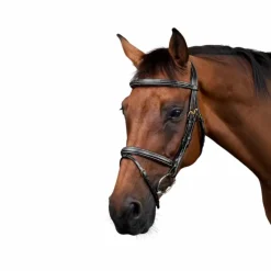 Dyon - Bridon muserolle combinée Dy'on Collection noir