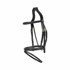 Dyon - Bridon muserolle combinée Tressé noir