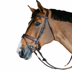 Dyon - Bridon muserolle combinée large New English tressé pull back cuir havane