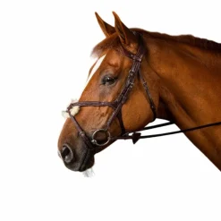 Dyon - Bridon muserolle croisée New English Collection havane