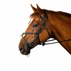 Dyon - Bridon muserolle croisée New English Collection noir