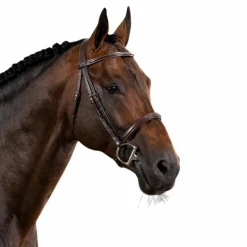 Dyon - Bridon muserolle française US Collection havane