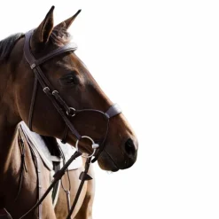 Dyon - Bridon muserolle hybride New English Collection havane