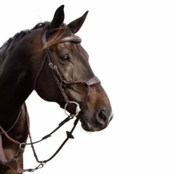 Dyon - Bridon muserolle hybride élastique New English Collection marron