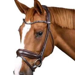 Dyon - Bridon muserolle large Round avec frontal à cristaux marron